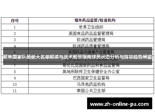 聚焦国家队最新大名单解读与战术前景指南球员状态分析与阵容趋势展望